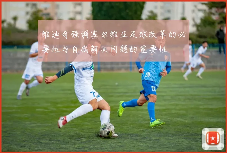 维迪奇强调塞尔维亚足球改革的必要性与自我解决问题的重要性