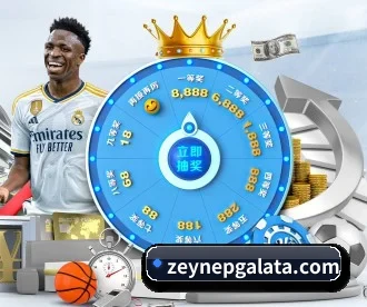 星空网官网登录入口 APP 深度功能